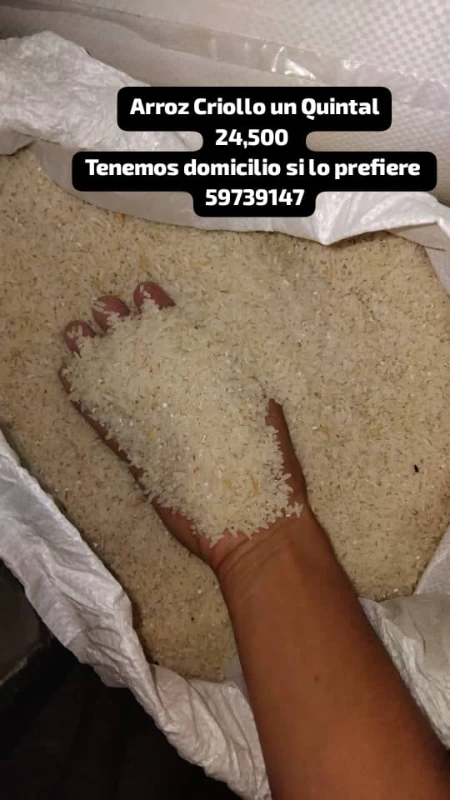 Arroz Criollo