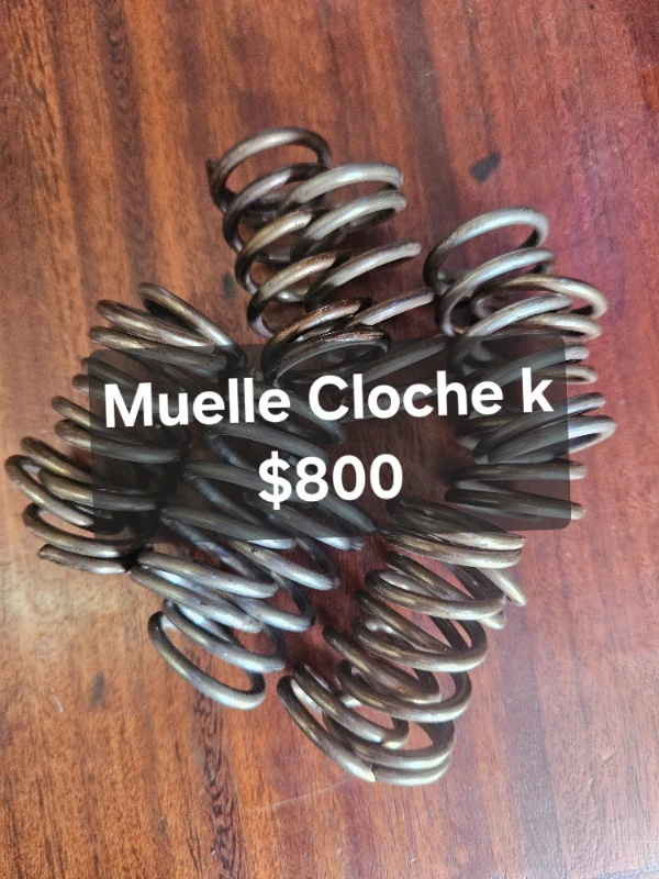 Muelle pal cloche karpaty