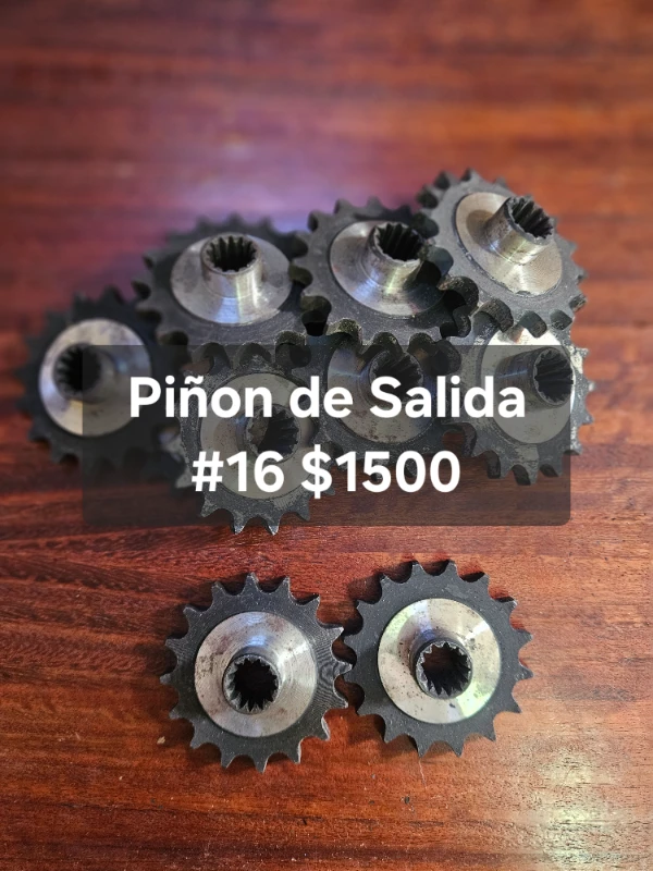 Piñones de salida karpaty