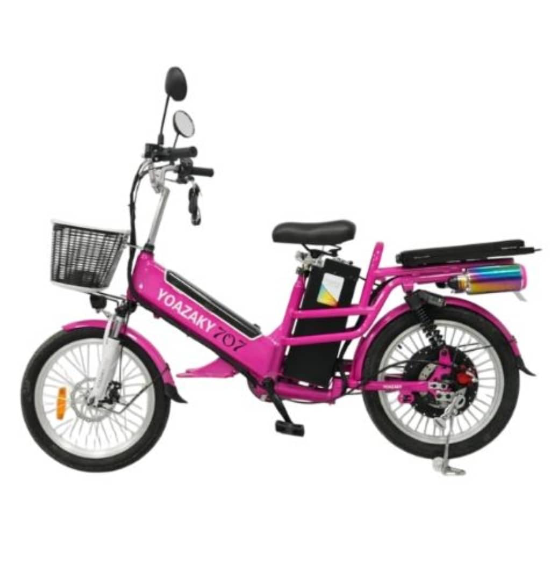 Bicicletas electricas